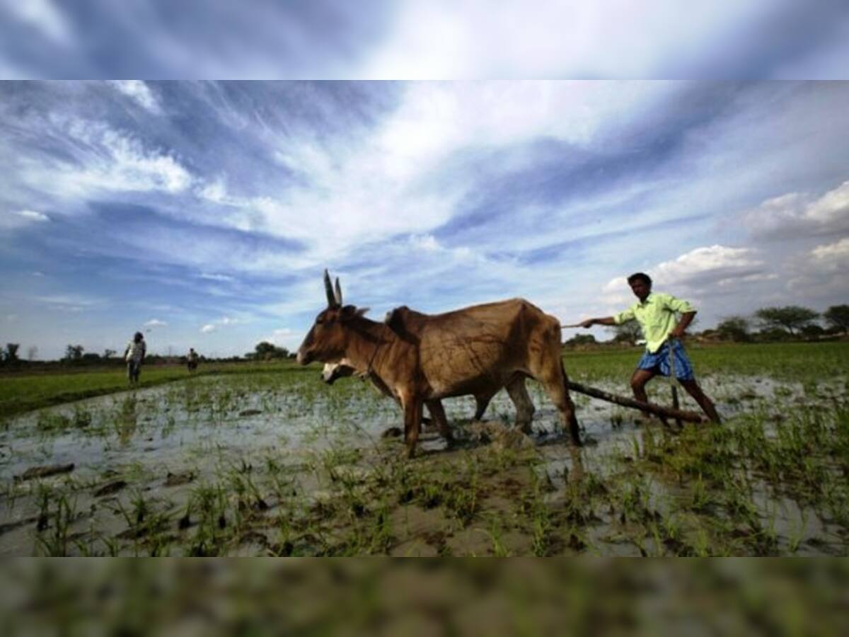 નાગરિકો માટે સૌથી મોટા રાહતના સમાચાર: ગભરાવાની જરૂર નથી ઓગષ્ટની આ તારીખથી ચોમાસુ ફરી સક્રિય થશે