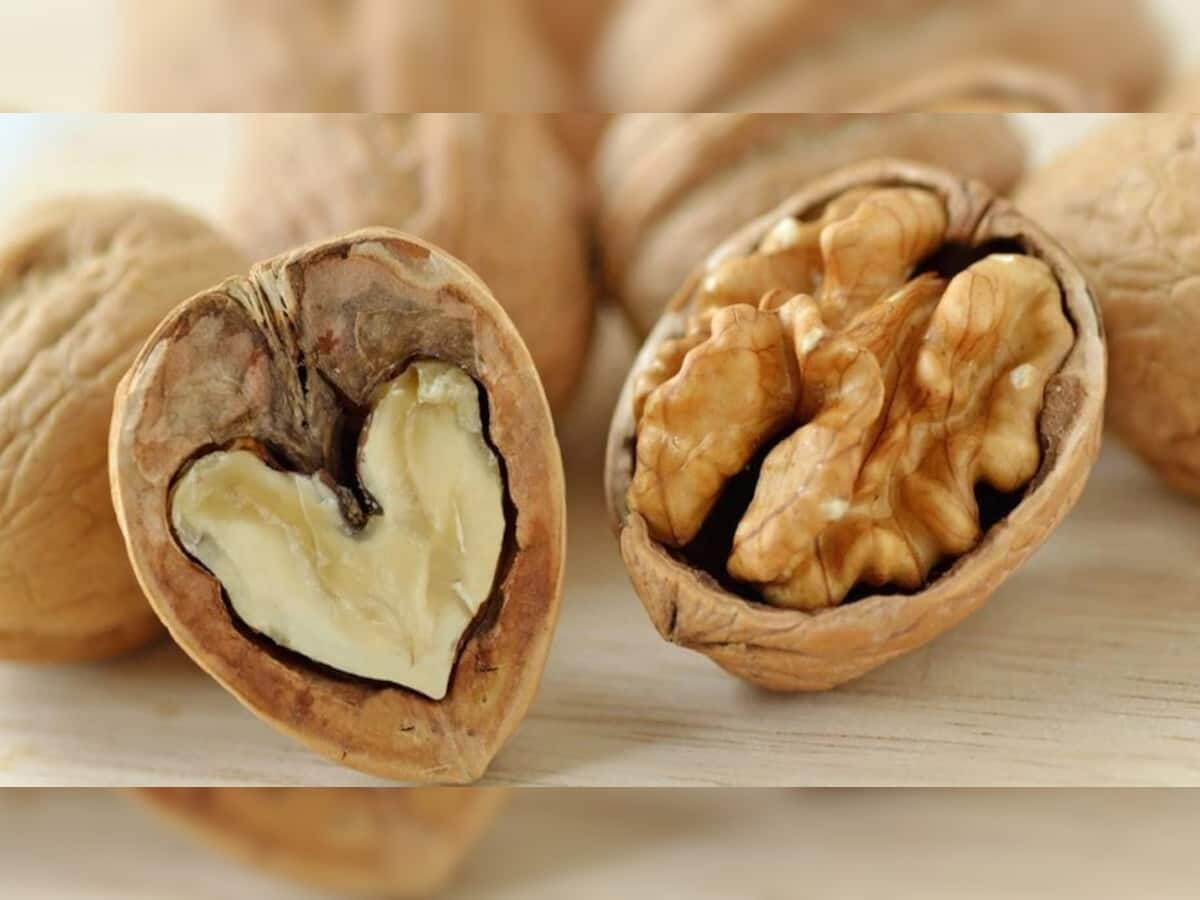 Walnut For Health: અખરોટના સેવનના છે અનેક ફાયદા, પુરુષો માટે છે અકસીર ઔષધિ સમાન!