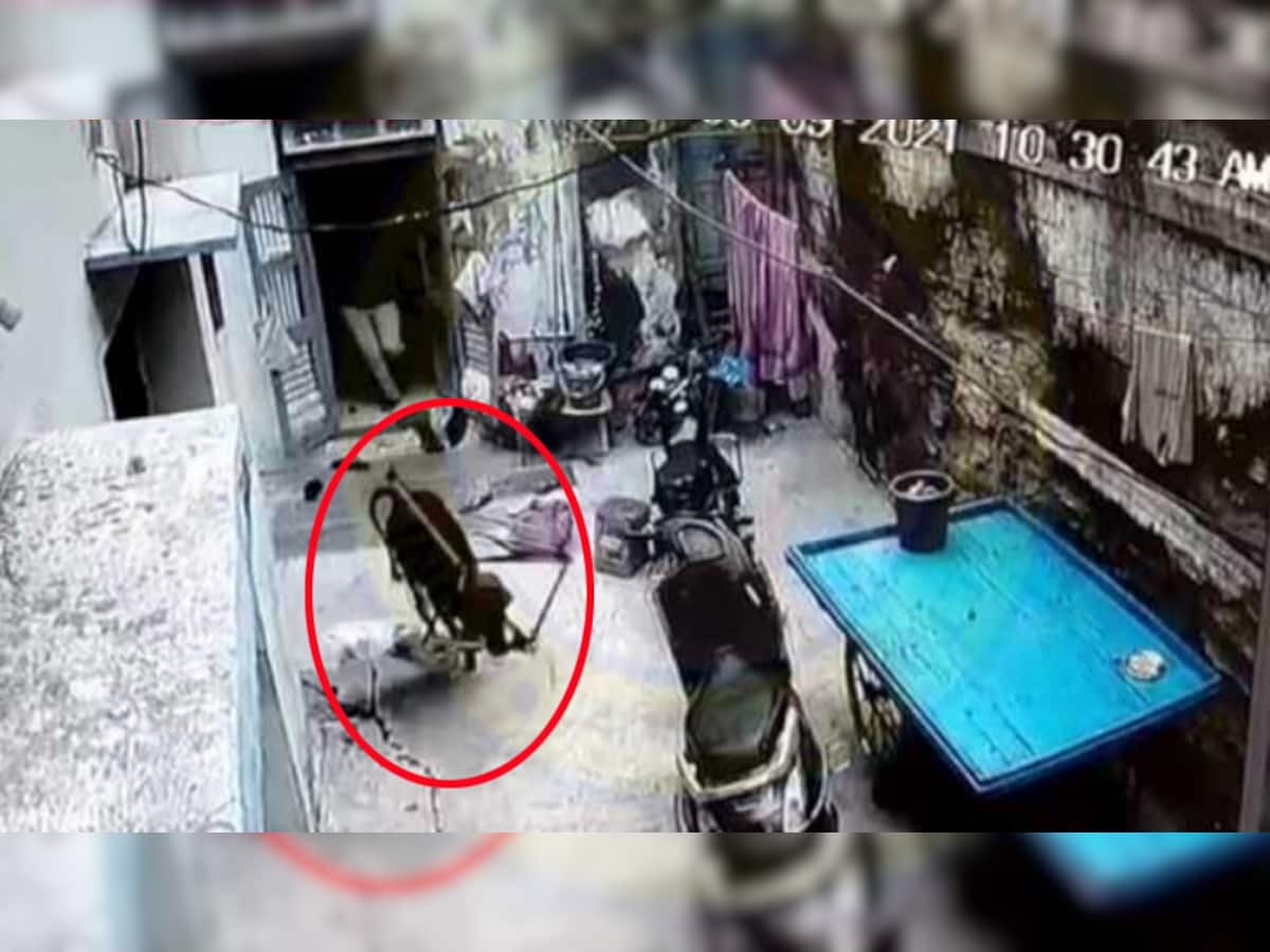 જામનગરમાં રખડતા ઢોરનો આતંક જુઓ CCTV માં, ઘરમાં ઘૂસીને બાળકનું ઘોડિયું ખેંચીને લઈ ગયું...