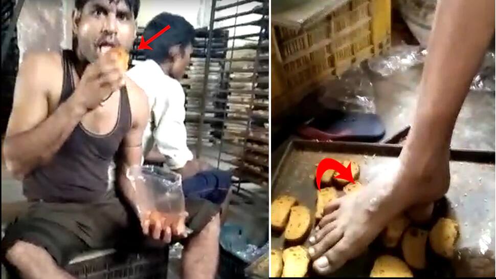 છીં..છીં...છીં...મા કસમ!!! Video જોઇને ટોસ્ટ ખાવાનું છોડી દેશો તમે છીં..છીં...છીં...મા કસમ!!! Video જોઇને ટોસ્ટ ખાવાનું છોડી દેશો તમે