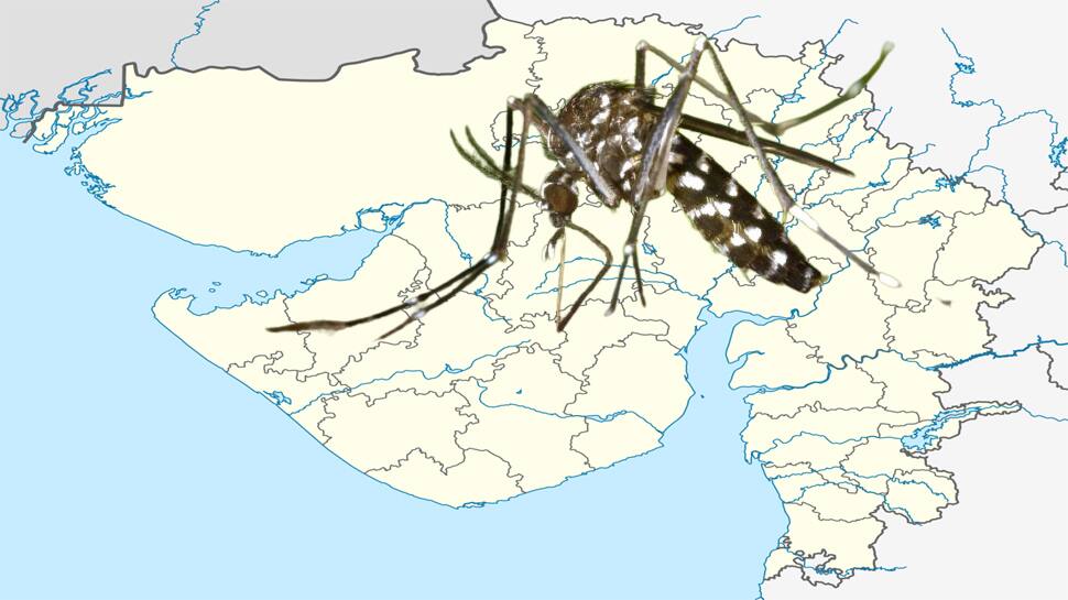 GUJARAT માં મચ્છરજન્ય રોગચાળો બેકાબુ, 37 હજારથી વધારે તાવના કેસ મળી આવ્યા GUJARAT માં મચ્છરજન્ય રોગચાળો બેકાબુ, 37 હજારથી વધારે તાવના કેસ મળી આવ્યા