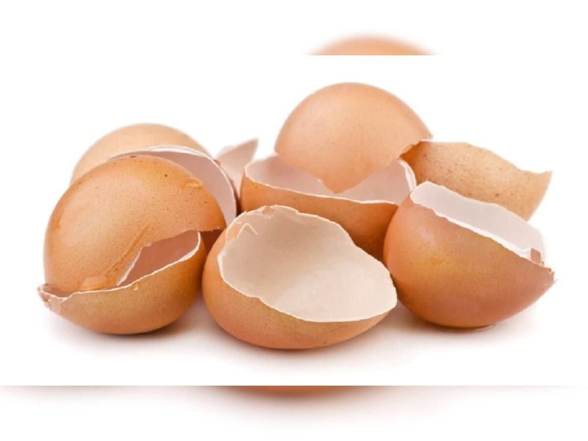 Egg Shells Benefits: ઈંડાની ઉપરના પડને ફેંકશો નહીં, તમારા ચહેરાની ચમક વધારશે ઈંડાના છોતરા!