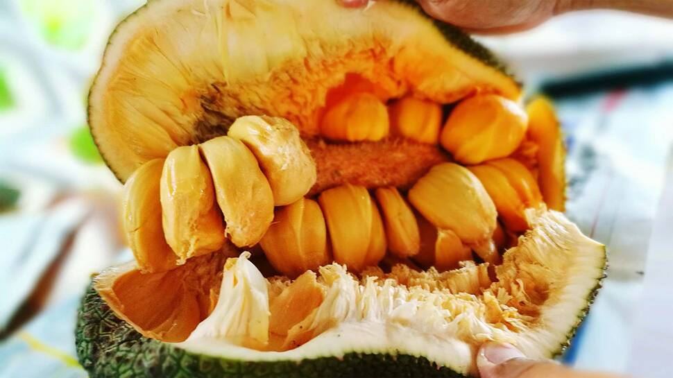 Health Tips: 7 દિવસમાં ડાયાબિટીસ કરવું છે દૂર, તો આ વસ્તુનું કરો ખાસ સેવન Health Tips: 7 દિવસમાં ડાયાબિટીસ કરવું છે દૂર, તો આ વસ્તુનું કરો ખાસ સેવન