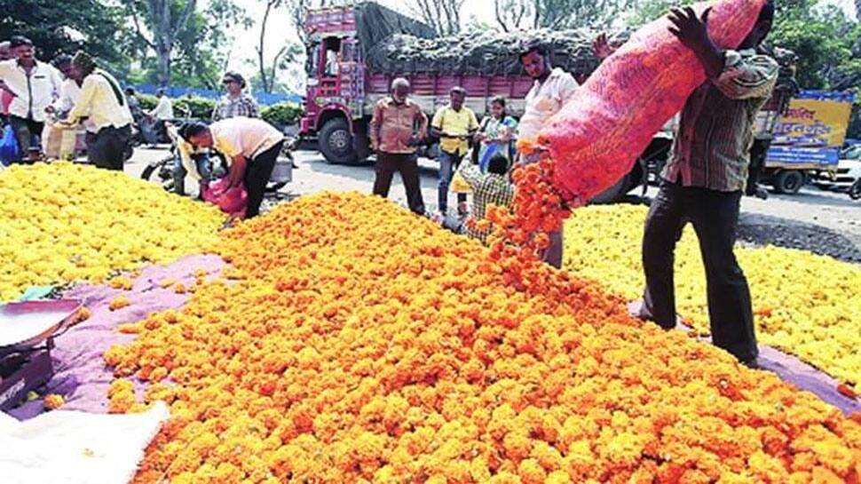 શાકભાજી બાદ ફુલોની ખેતી કરનારા ખેડૂતોને પણ રાતા પાણીએ રોવાનો વારો આવ્યો શાકભાજી બાદ ફુલોની ખેતી કરનારા ખેડૂતોને પણ રાતા પાણીએ રોવાનો વારો આવ્યો