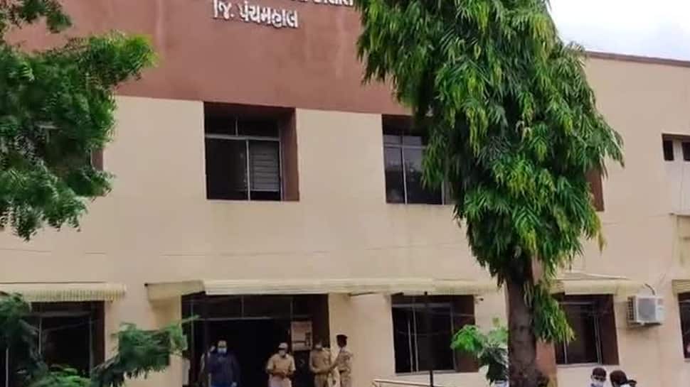 પંચમહાલમાં વકર્યો રોગચાળો, નગરપાલિકાની ગંભીર બેદરકારીના વરવા નમુનાની સામે આવી તસવીર પંચમહાલમાં વકર્યો રોગચાળો, નગરપાલિકાની ગંભીર બેદરકારીના વરવા નમુનાની સામે આવી તસવીર