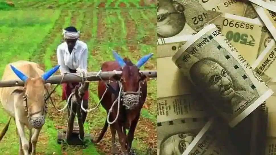 State Government એ કૃષિ રાહત પેકેજની કરી સત્તાવાર જાહેરાત, જાણો ખેડૂતોને કેટલો મળશે લાભ State Government એ કૃષિ રાહત પેકેજની કરી સત્તાવાર જાહેરાત, જાણો ખેડૂતોને કેટલો મળશે લાભ