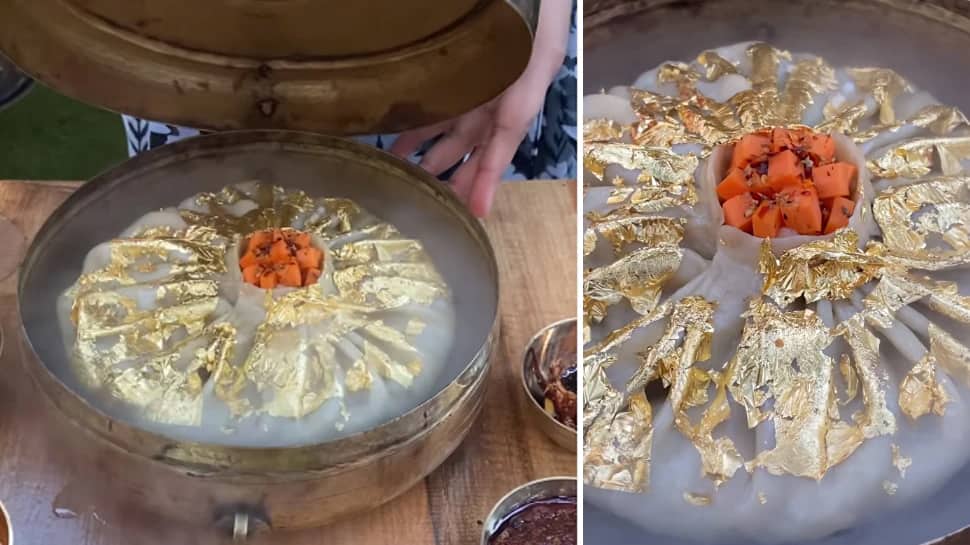Viral Video: શું તમે ક્યારેય 2 કિલોગ્રામનું Momos જોયું છે? જોઈને તમને પણ થશે અચરજ Viral Video: શું તમે ક્યારેય 2 કિલોગ્રામનું Momos જોયું છે? જોઈને તમને પણ થશે અચરજ