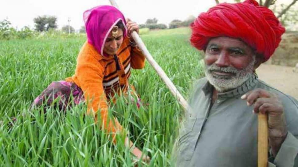 PM Kisan: દિવાળી પહેલા ખેડૂતોને મળશે મોટી ભેટ! પીએમ કિસાનની રકમ ડબલ થઈ શકે છે, જાણો સરકારનો પ્લાન PM Kisan: દિવાળી પહેલા ખેડૂતોને મળશે મોટી ભેટ! પીએમ કિસાનની રકમ ડબલ થઈ શકે છે, જાણો સરકારનો પ્લાન
