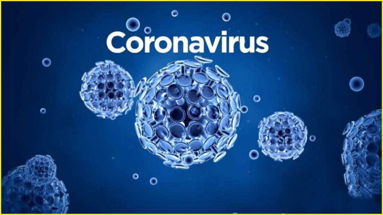 Corona Update: રાજ્યમાં નવા 16 કેસ, 1 મૃત્યુ, રિકવરી રેટ 98.76% Corona Update: રાજ્યમાં નવા 16 કેસ, 1 મૃત્યુ, રિકવરી રેટ 98.76%