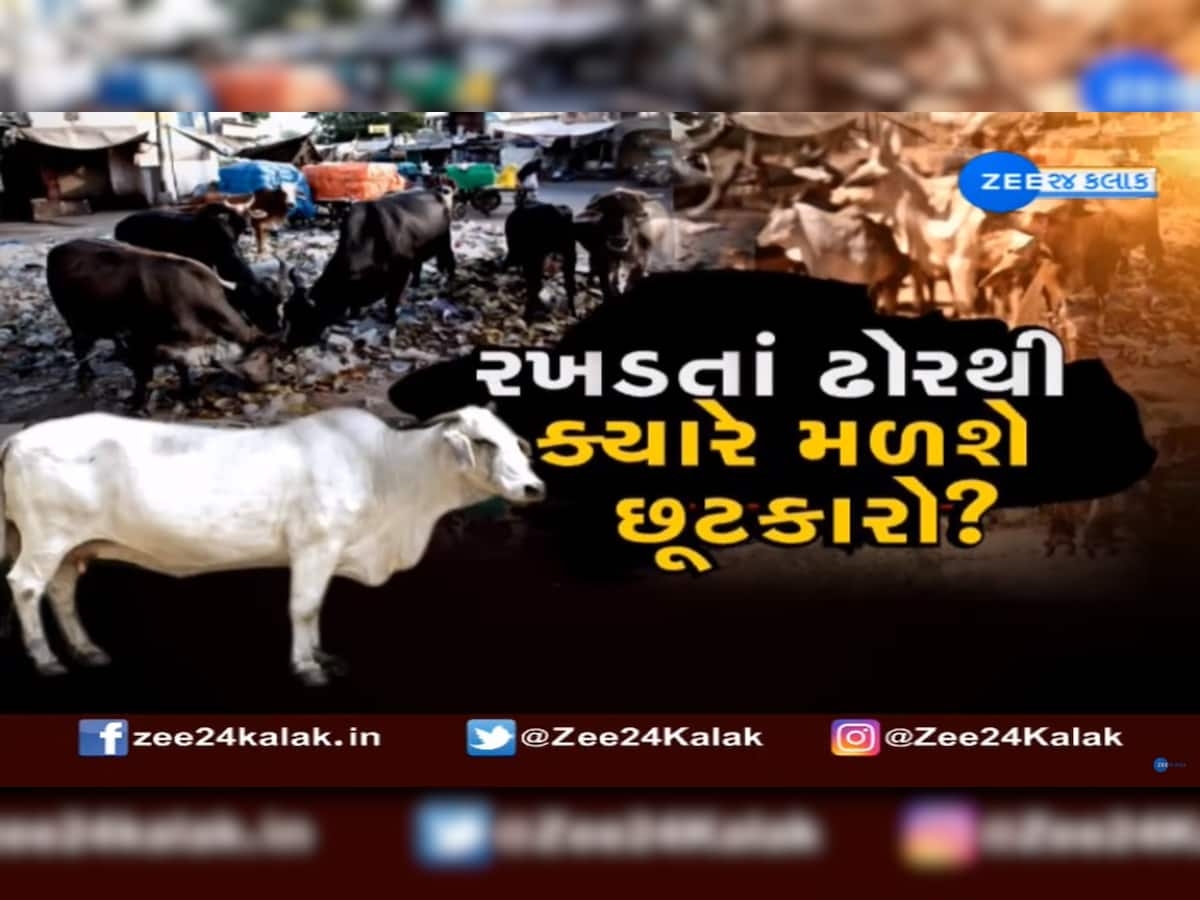 Vadodara મેયરનો પલટવાર: 'પાટીલ સાહેબ પાસે કદાચ પાલિકાએ કરેલી કામગીરીના આંકડા નહી હોય'