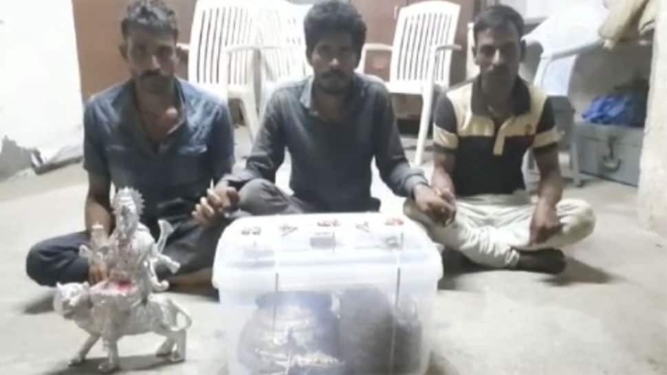 Jamnagar: દેશની ધરોહરની ચોરી કરનારી આંતરરાજ્ય ગેંગને જામનગર પોલીસે ઝડપી લીધી Jamnagar: દેશની ધરોહરની ચોરી કરનારી આંતરરાજ્ય ગેંગને જામનગર પોલીસે ઝડપી લીધી
