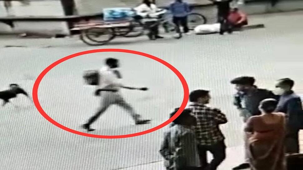 Ahmedabad માં વધુ એક લૂંટનો બનાવ: ST બસમાં આંગડિયા પેઢીનો કર્મી લૂંટાયો, શંકાસ્પદ વ્યક્તિ CCTVમાં કેદ Ahmedabad માં વધુ એક લૂંટનો બનાવ: ST બસમાં આંગડિયા પેઢીનો કર્મી લૂંટાયો, શંકાસ્પદ વ્યક્તિ CCTVમાં કેદ