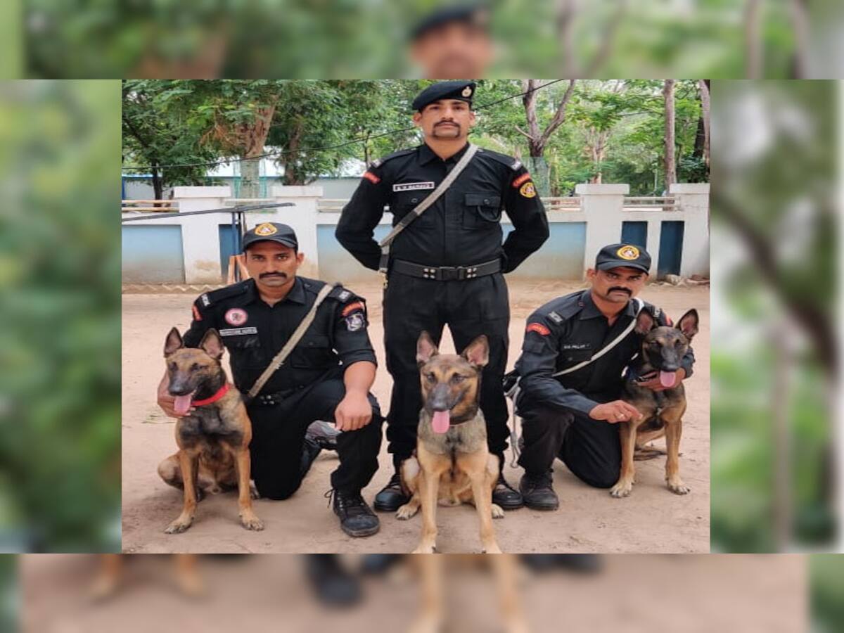 ગુજરાત પોલીસમાં નવા શ્વાનની એન્ટ્રી, જે ચિત્તા કરતા પણ વધુ ચાલાક છે અને લડવામાં ચેતક કમાન્ડો જેવા છે 
