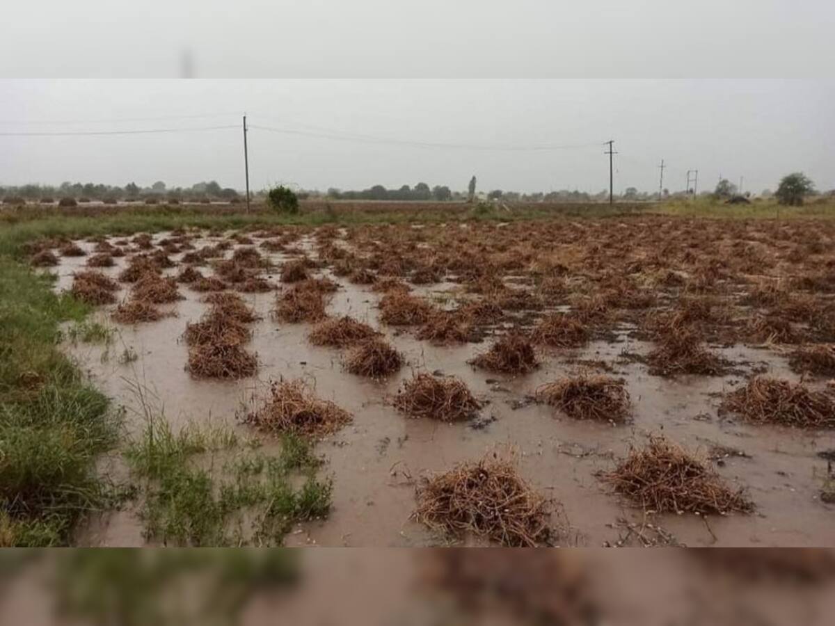 જેનો ડર હતો એ જ થયું, ગુજરાતમાં ફરી એકવાર કમોસમી વરસાદની આગાહી થઈ