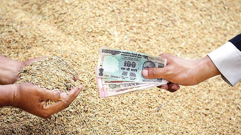 ખેડૂતોની હૈયાહોળી વચ્ચે સરકારે કરાવી દિવાળી, 9 જિલ્લાના ખેડૂતોને 531 કરોડ રૂપિયાની સહાય