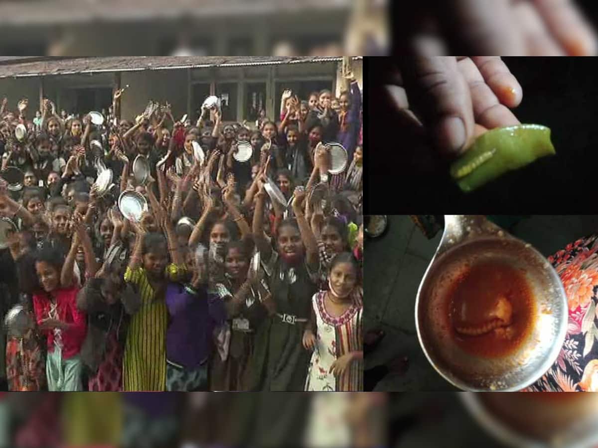 Naswadi ના લીંડા ગામે સ્કૂલમાં વિદ્યાર્થિનીઓને ભોજનમાં અપાય છે ઇયળ અને જીવડા! થાળીઓ વગાડી હોબાળો