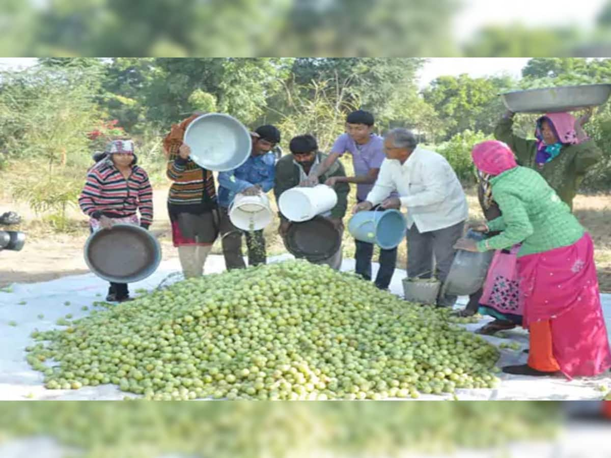 ખેતી તો બધાં ખેડૂતો કરે, પણ ચાણસ્માના આ ખેડૂતની વાત જ કંઈક અલગ છે, ખુદ પૂર્વ CM એ સન્માન કર્યું