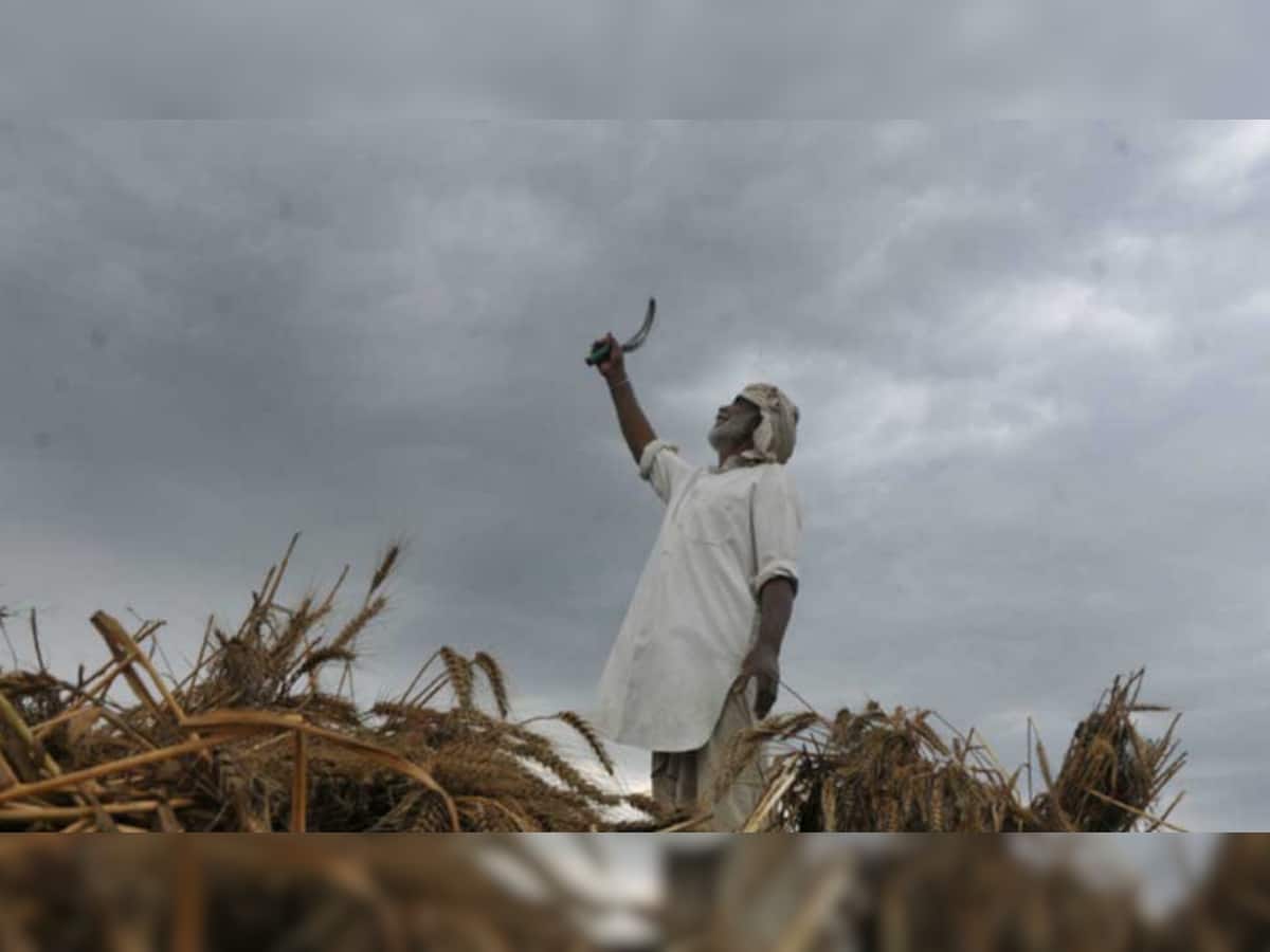 હવામાન વિભાગની વધુ એક આગાહીથી વધી જશે ધરતીપુત્રોના ધબકારા! ખેડૂતોના માથે તોળાઈ રહ્યું છે આ મોટું સંકટ