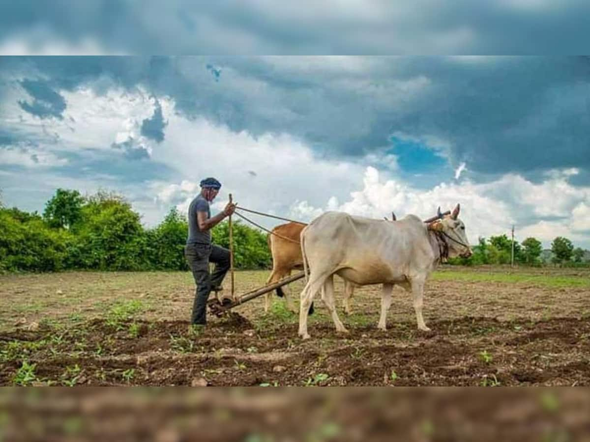 ગુજરાત સરકારનો ખેડૂતલક્ષી મહત્વપૂર્ણ નિર્ણય, જાણો કયા મુદ્દે મોટા વળતરની નવી નીતિ જાહેર કરી?