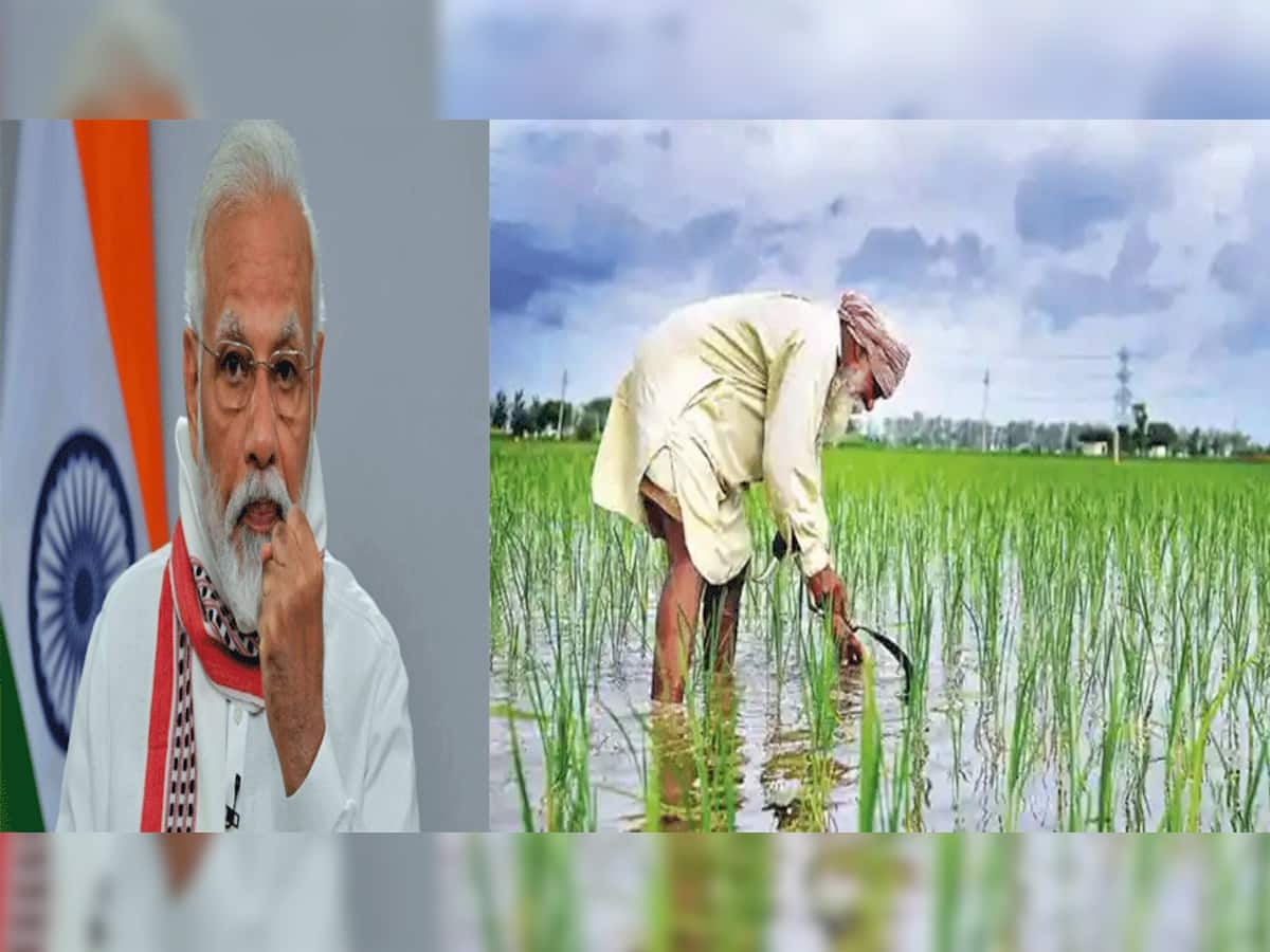 Agriculture Budget 2022 News: ખેડૂતો માટે ખુશખબર! બજેટમાં મોદી સરકારે જગતના તાત માટે કરી મોટી જાહેરાત