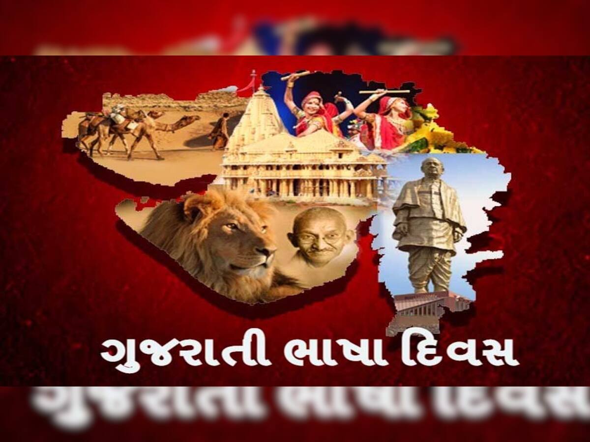 આજે વિશ્વ માતૃભાષા દિવસ: ગુજરાતી ભાષાનો શું છે ઈતિહાસ? કેટલી ભાષાઓમાંથી બનેલી છે? જુઓ આ રસપ્રદ Video