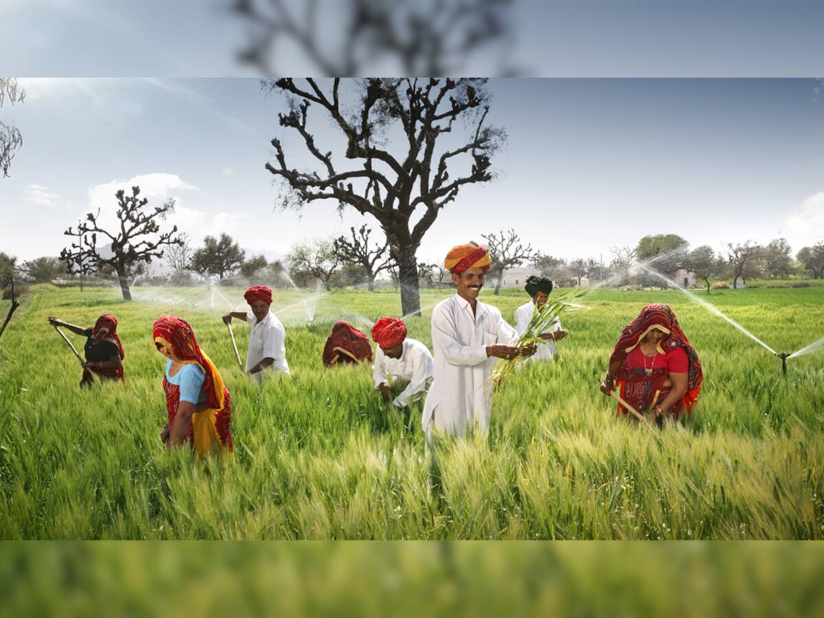 કઈ રીતે રાજ્યના ખેડૂતોની આવક થઈ જશે ડબલ? જાણો ગુજરાત સરકારે કરી શું મહત્ત્વની જાહેરાત