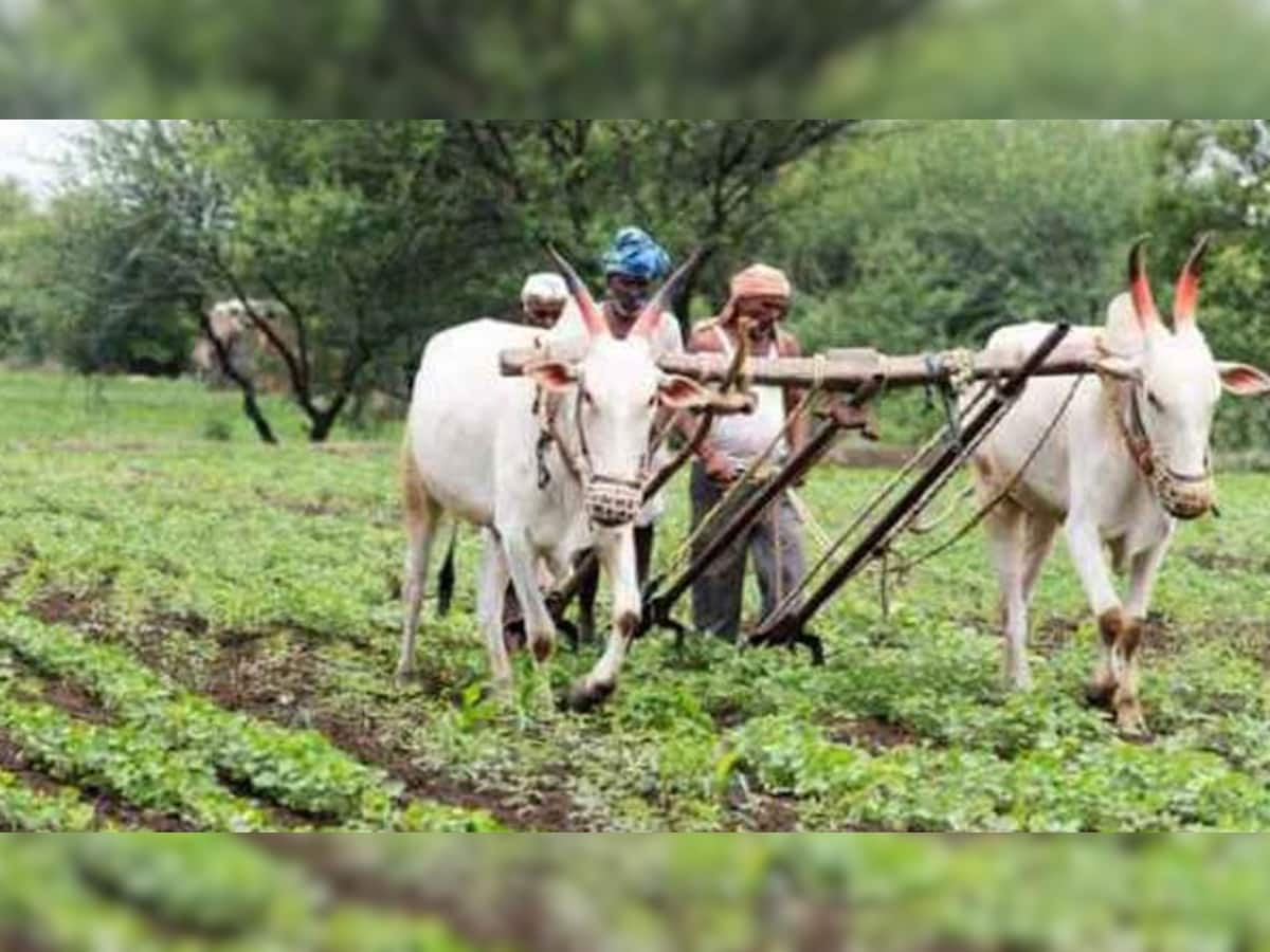 પ્રાકૃતિક પાઠશાળા: જાણો શું છે પ્રાકૃતિક ખેતીનો ઉદ્દેશ