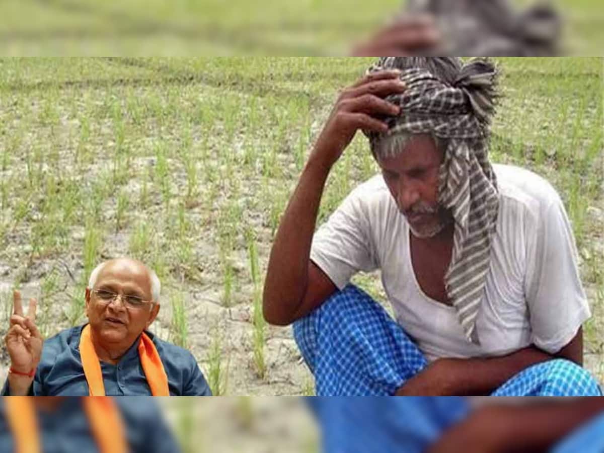 ગુજરાતમાં ખેડૂત હોવું એ જ હવે તો શ્રાપ છે, વિજળી મળે તો પાણી નહી અને પાણી મળે તો પાક નહી