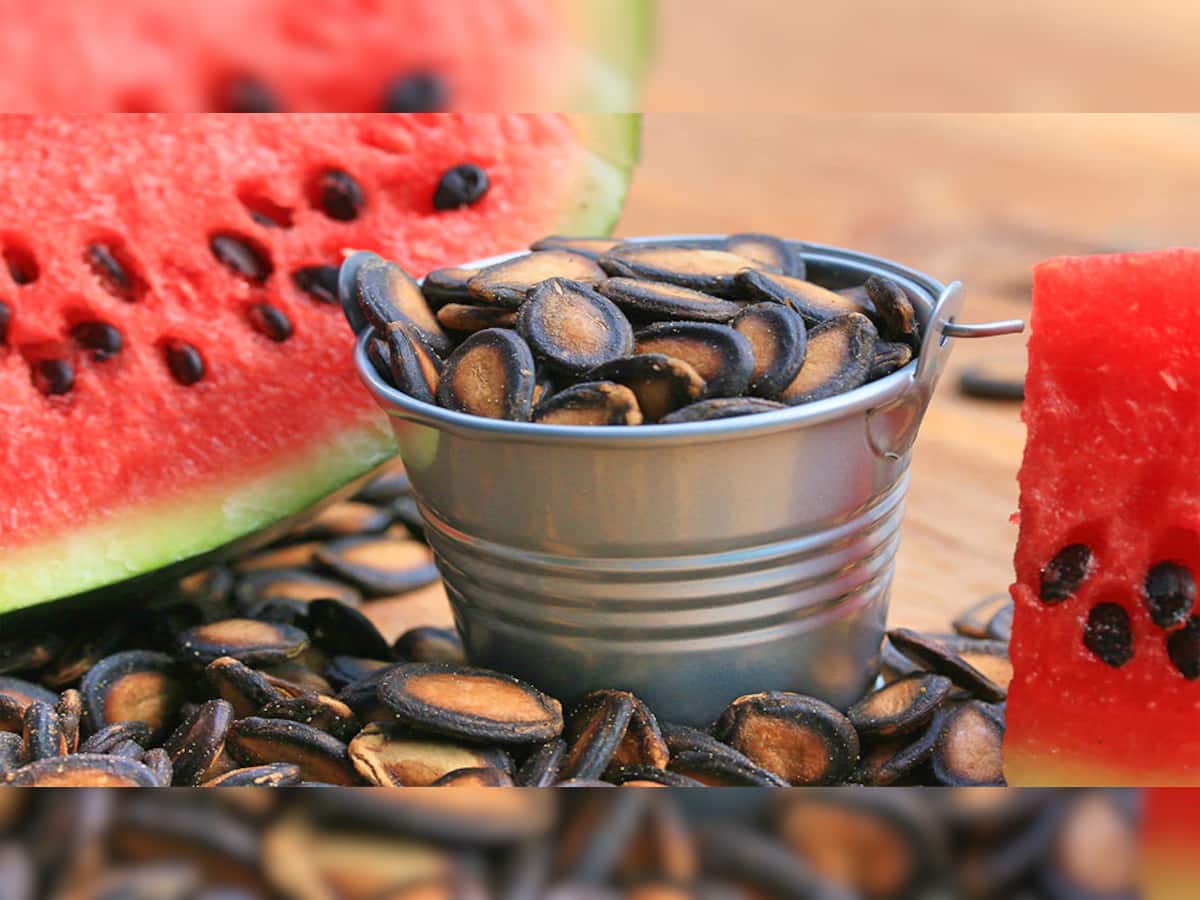Watermelon Seed's Benefits: ડાયટમાં સામેલ કરો તરબૂચના બીજ, ખાવાથી થાય છે આટલા બધા ફાયદા