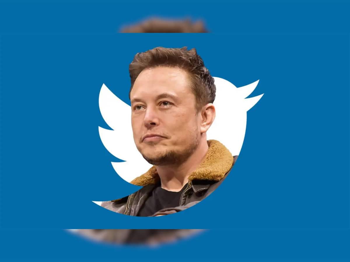 હવે ફ્રી નહીં રહે Twitter! મોંઘા ભાવે 'ચકલી' ખરીદ્યાં પછી જાણો શું છે Elon Muskનો પ્લાન
