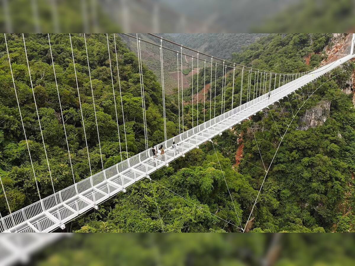 White Dragon Bridge: આ છે દુનિયાનો સૌથી લાંબો બ્રિજ, ઉપરથી નીચે જોશો તો, શ્વાસ થઈ જશે અધ્ધર...