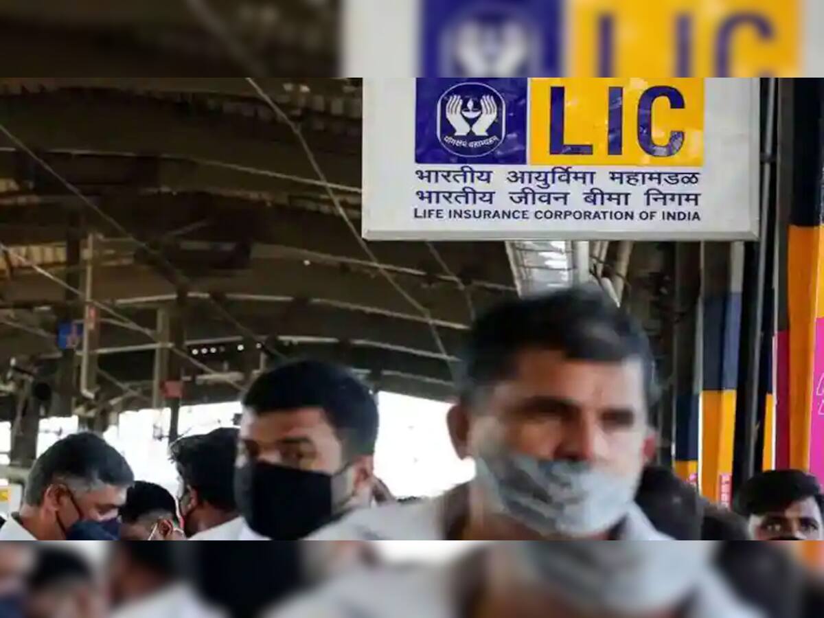 LIC IPO Share Allotment Status: શું તમે LIC IPO માં પૈસા રોક્યા છે? તો આ માહિતી ખાસ જાણો નહીં તો પસ્તાશો