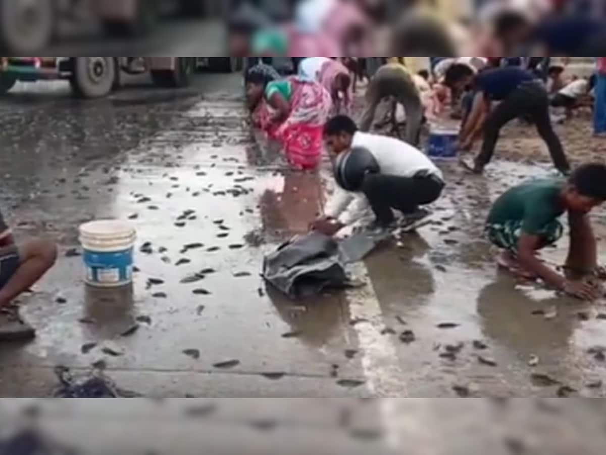 Video: જ્યારે રસ્તા પર થવા લાગ્યો માછલીઓનો વરસાદ! ડોલ અને ડબ્બા લઇને લૂંટવા પહોંચ્યા લોકો