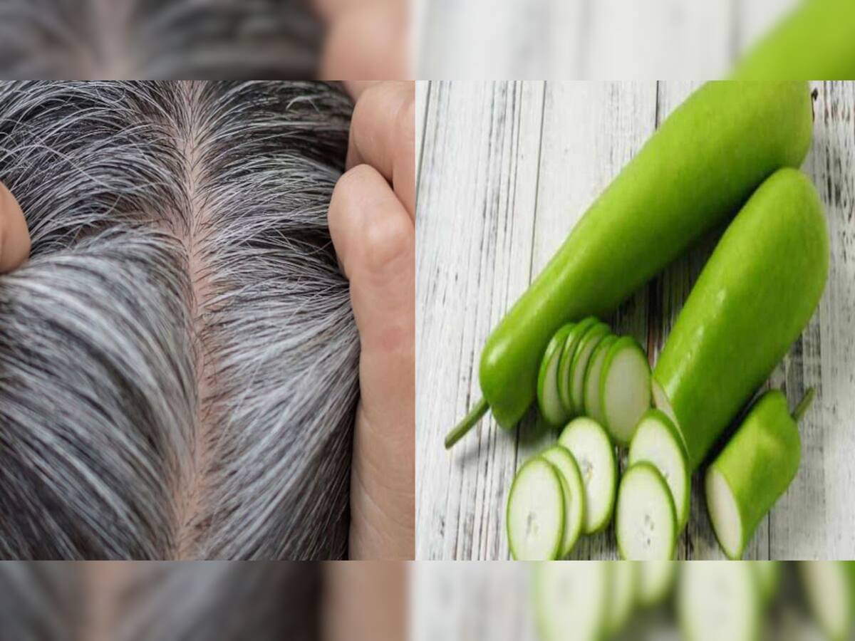 Home Remedies for White Hair: દૂધીથી કેવી રીતે સફેદ વાળ થઇ શકે છે કાળા? આ ઘરેલૂ ઉપાયનો કોઇ નથી જવાબ