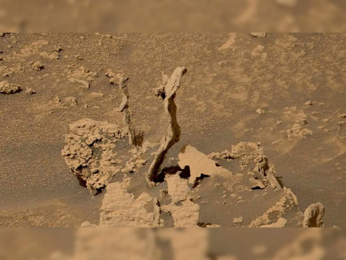 Shocking Picture of Mars: મંગળ ગ્રહ પર જોવા મળી બે હાથી જેવી વિચિત્ર આકૃતિ, સામે આવી ચોંકાવનારી તસવીર