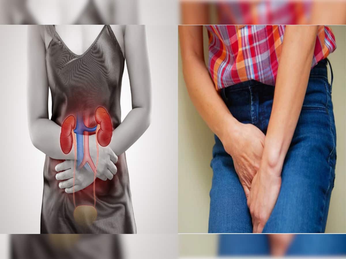 Urinary Diseases: શું તમારા પેશાબમાં પણ આવે છે ફીણ? આવા ચિહ્નો દેખાય તો તુરંત ચેતી જજો