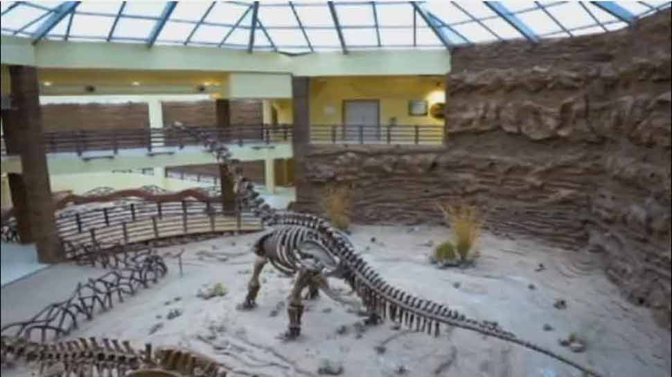Indias First And Worlds Third Fossil Park Open In Gujarat
