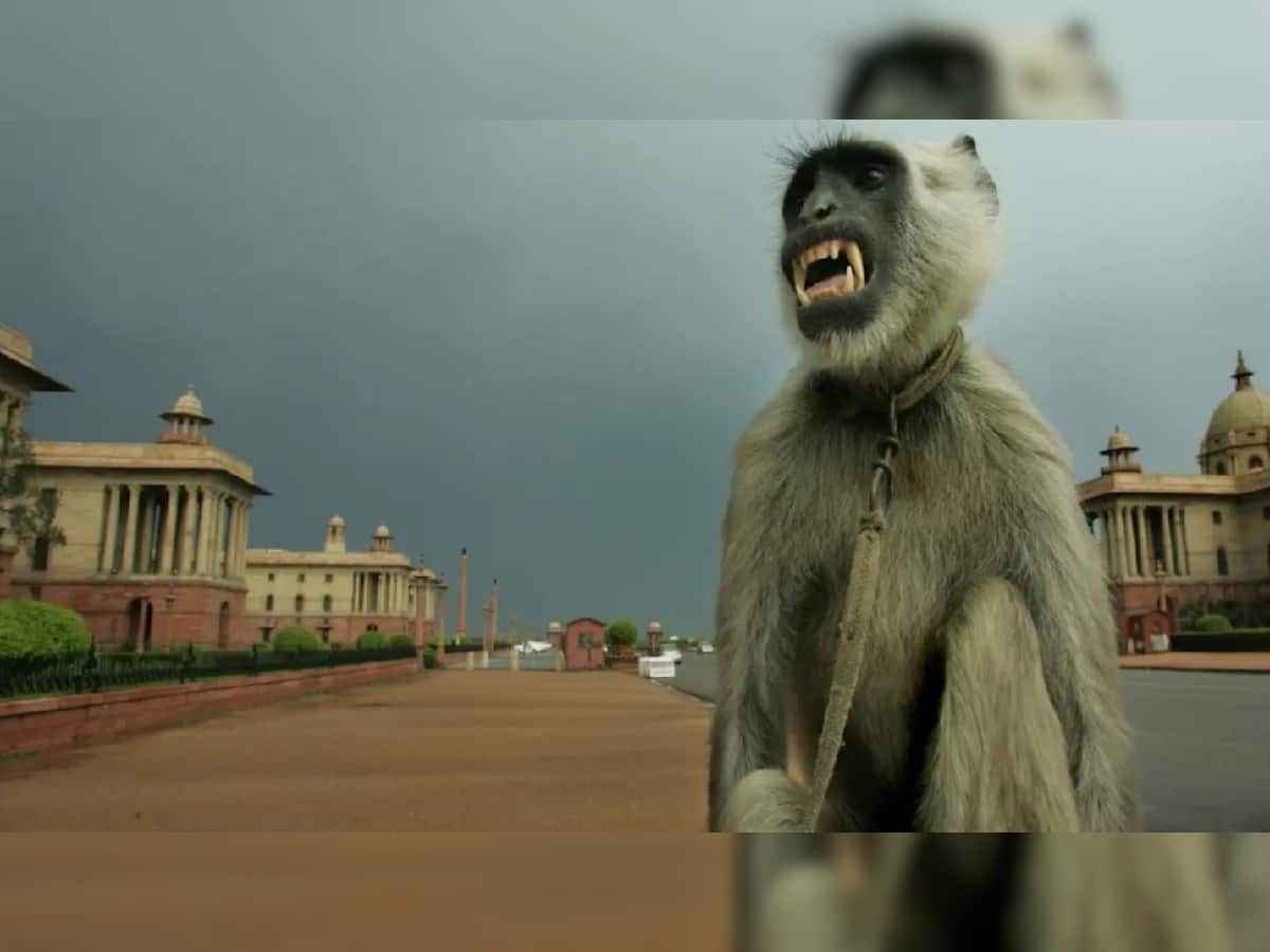 Parliament: સંસદ પરિસરમાં વાંદરાઓ ભગાડવા 4 લોકોની નિમણૂંક, કાઢશે લંગુરનો અવાજ, મહિને મળશે આટલા રૂપિયા