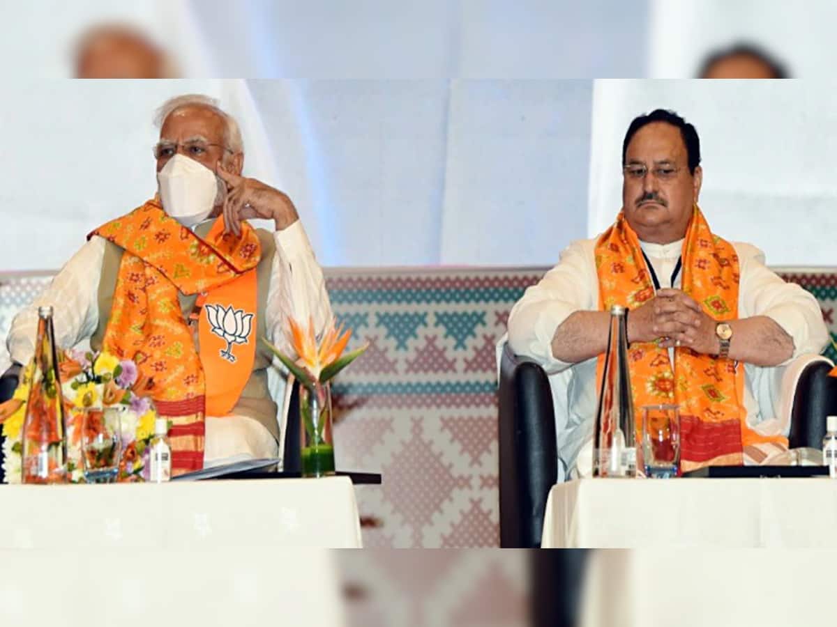 BJP રાષ્ટ્રીય કાર્યકારિણીમાં PM એ હૈદરાબાદને ભાગ્યનગર કહ્યું, સરદાર પટેલને કર્યા યાદ