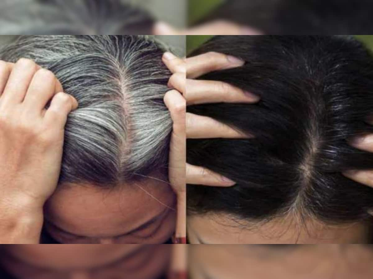 Hair Care Tips : આ પાંદડા સફેદ વાળને કરી દેશે કાળા, જાણો ઉપયોગની રીત