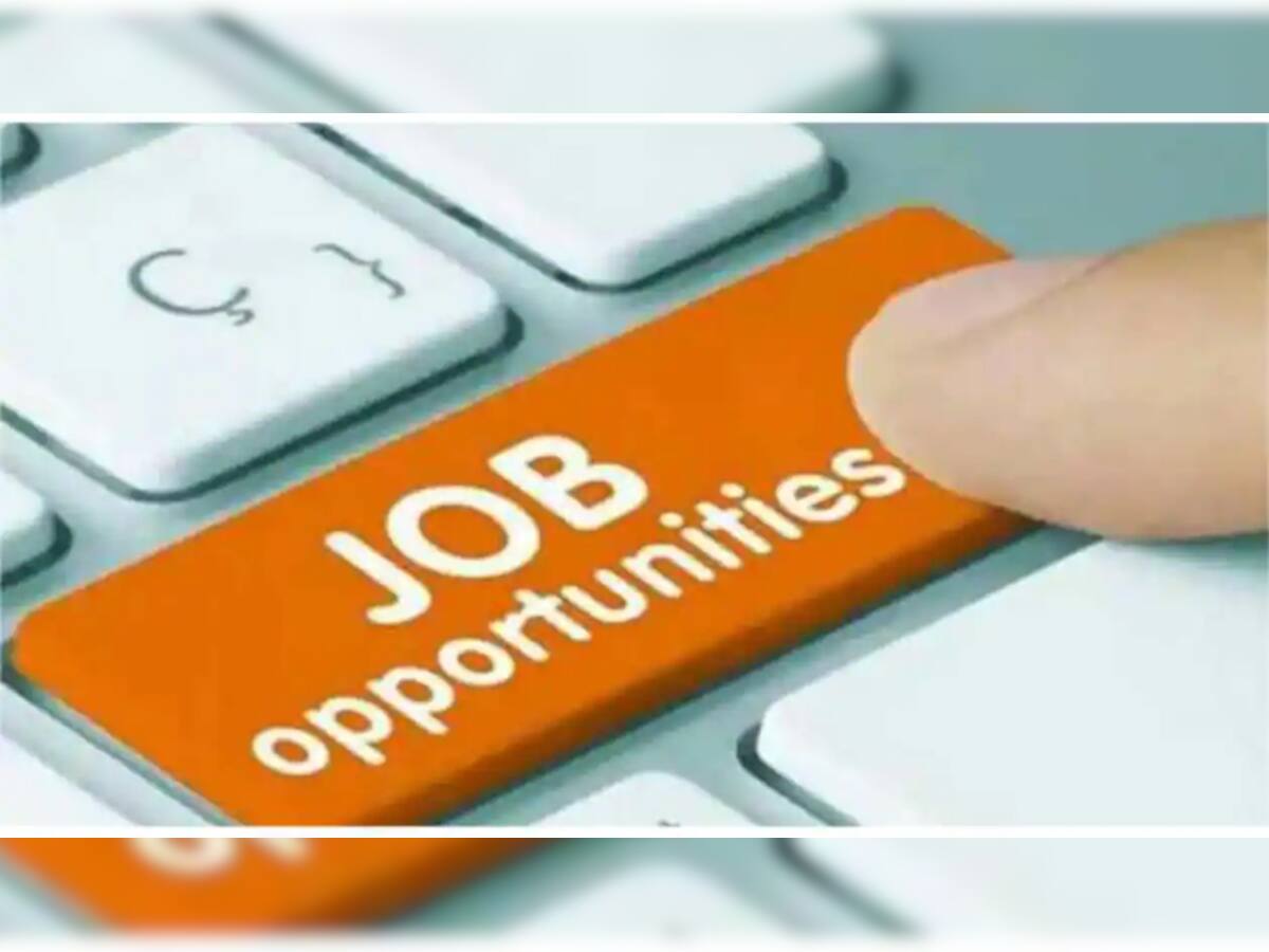 Bank Jobs 2022: આ સરકારી બેંકોની 6000થી વધુ જગ્યા માટે ભરતી નીકળી, ગ્રેજ્યુએટ્સ કરી શકશે અરજી