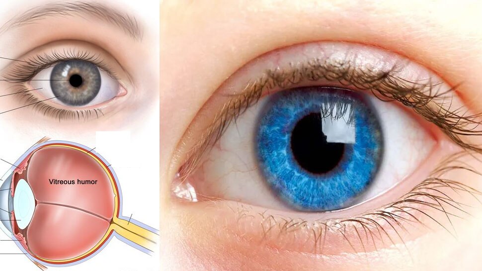 Eye Color: કેમ લોકોની આંખો ભૂરી, કાળી, વાદળી અને બ્લૂ હોય છે, શું તમે ...