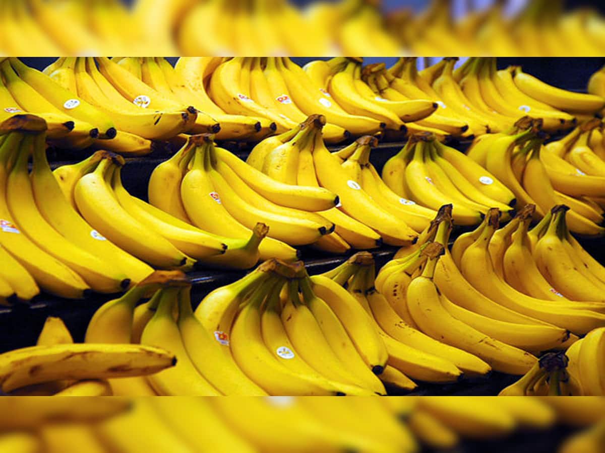 ખેડૂતોને ઘી-કેળા: ચાલું વર્ષે  કેળાનો ભાવ ઐતિહાસિક સપાટી પર પહોંચ્યો, શું તમે જાણ્યો કે નહીં?