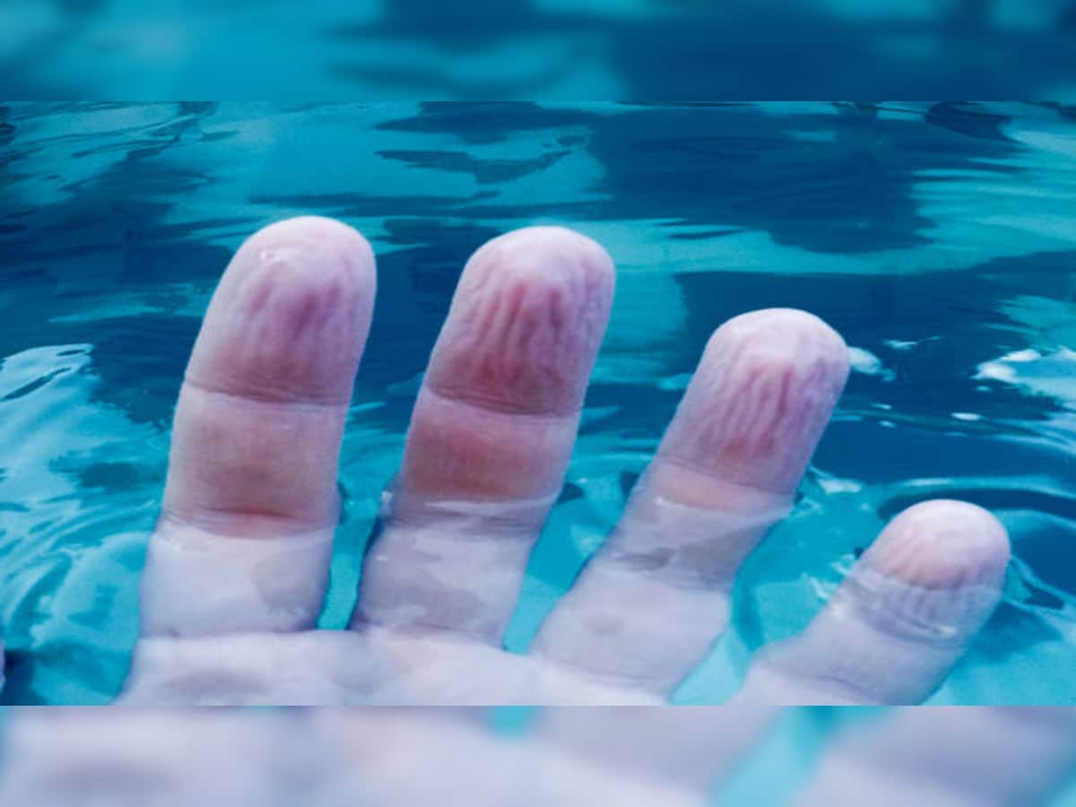 Knowledge News : શું તમે હાથની આંગળીઓનો આ જાદુ જાણો છો? પાણીમાં થઈ જતા જ કેમ ફુલાઈ જાય છે, આ રહ્યું કારણ