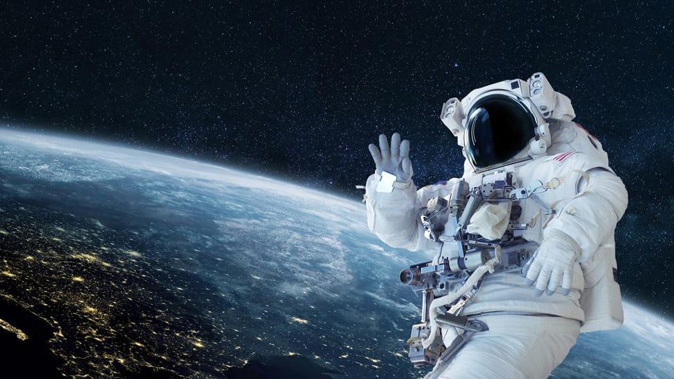 world news tradigrade facts water bear facts animan in space