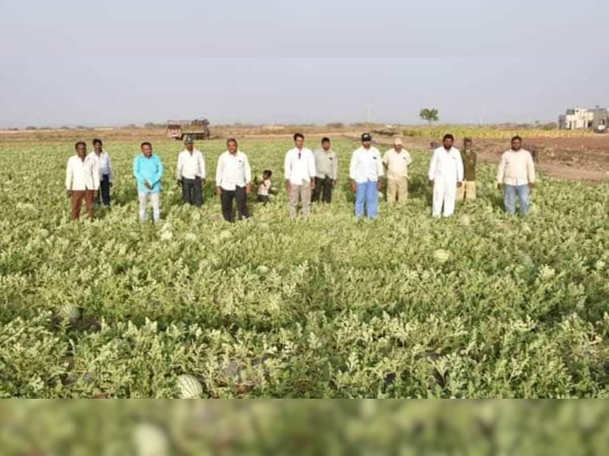 હવે લીલુછમ થશે ગુજરાત, ખેડૂતોની સિંચાઈ માટેના પાણીની સમસ્યાનો હવે અંત આવશે, સરકારની મોટી જાહેરાત