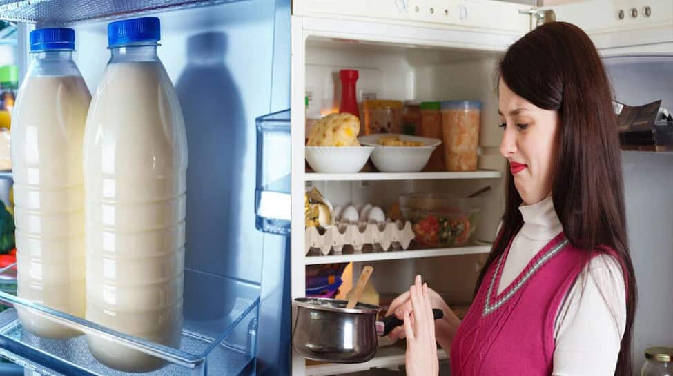 how-to-prevent-milk-from-curdling-know-here-containers-that-stop-milk