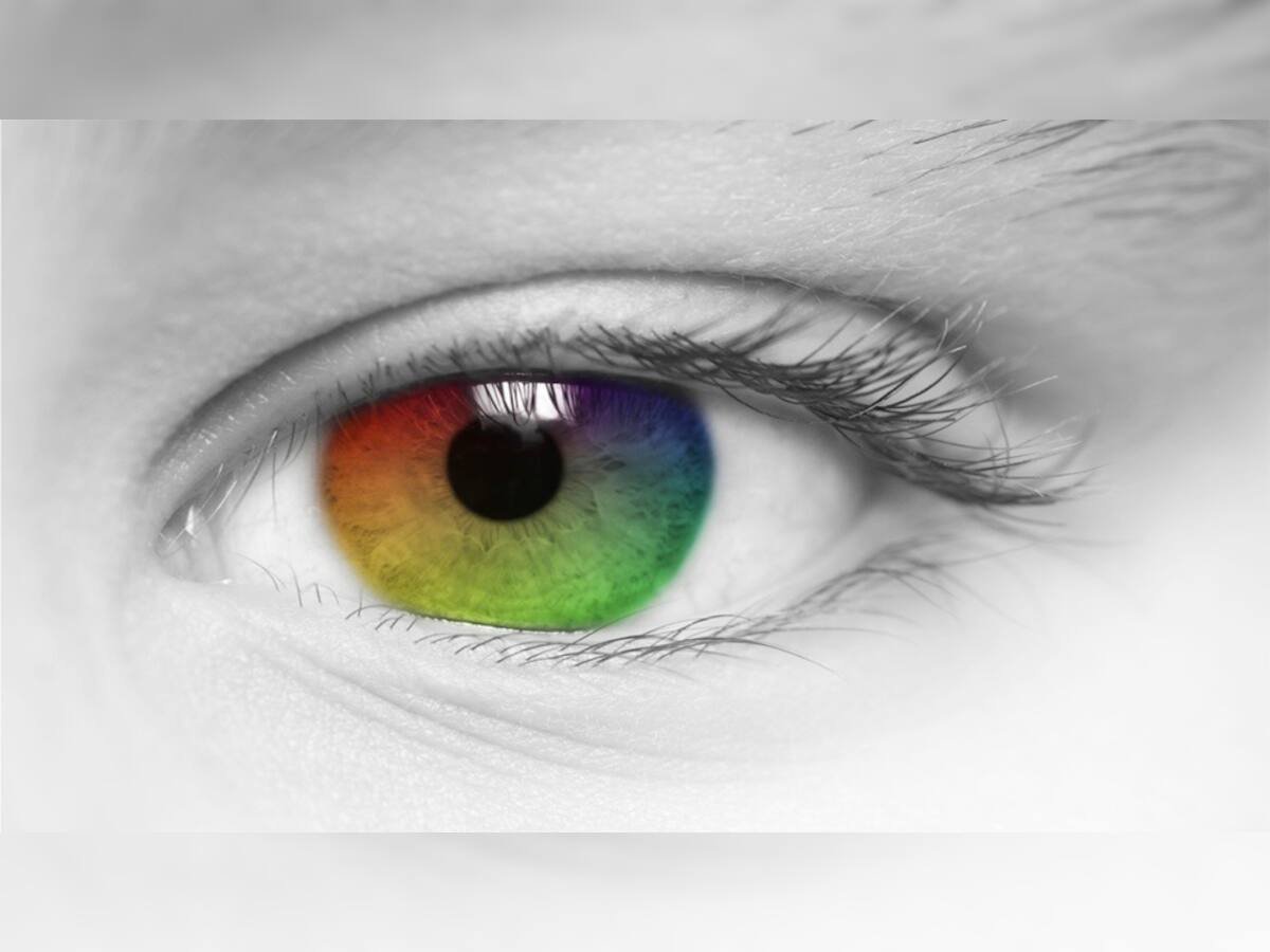 અસંખ્ય રંગોને સરળતાથી કઈ રીતે ઓળખી શકે છે માનવીની આંખો? જાણો આંખ કઈ રીતે કરે છે કામ