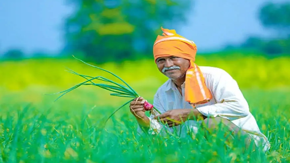 ગુજરાતના ખેડૂતો આનંદો! આ 4 પાકોના ટેકાના ભાવ જાહેર, જાણો ક્યારથી શરૂ થશે રજીસ્ટ્રેશન?