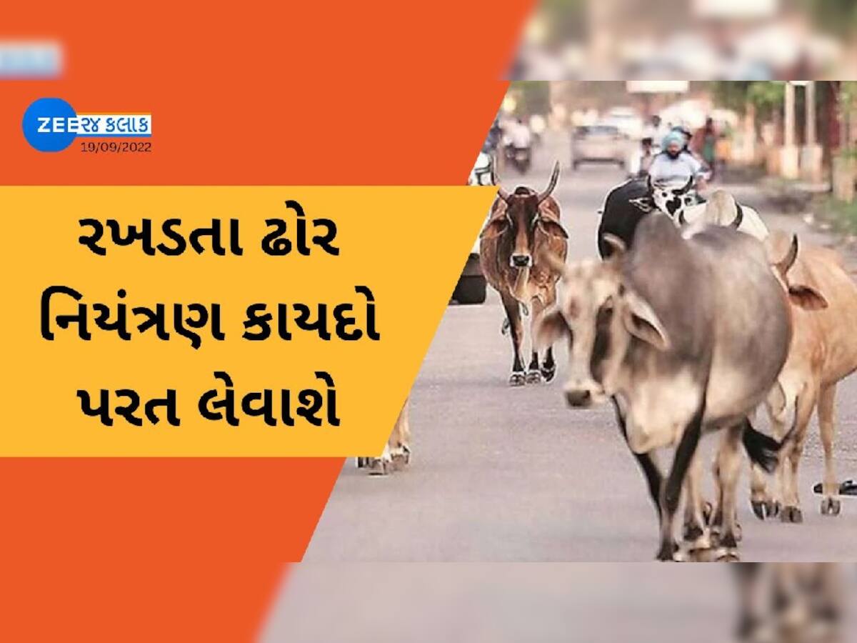 સરકારનો મોટો નિર્ણય, વિધાનસભા સત્રમાં રખડતાં ઢોર નિયંત્રણ કાયદો પરત લેવાશે